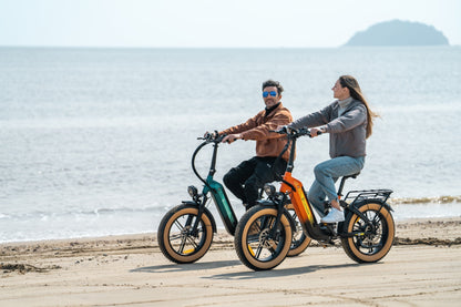 X3 Step-thru Fat Tyre